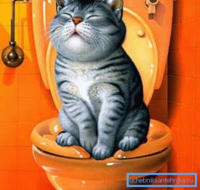 Glad katt Glad katt