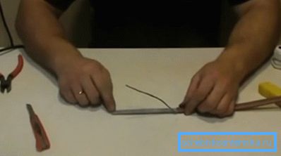 Skjermen bretter flagellum Skjermen bretter flagellum