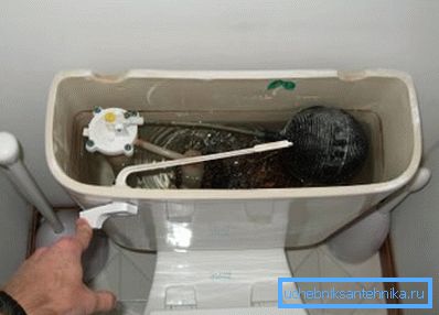 Hvis det drikker vann fra toalettskålen, kan det hende du må rengjøre ventilen.