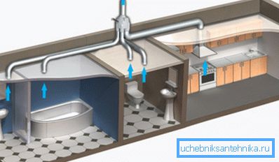 Grafisk fremstilling av plassering av ventilasjon med stigning på toalettet Grafisk fremstilling av plassering av ventilasjon med stigning på toalettet