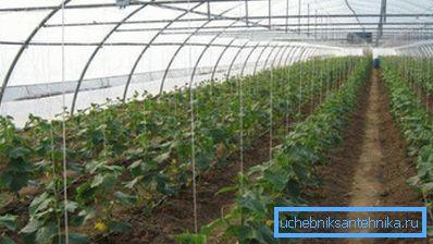 Det benyttede varmesystemet er valgt ut fra området for den agrotekniske strukturen. Det benyttede varmesystemet er valgt ut fra området for den agrotekniske strukturen.