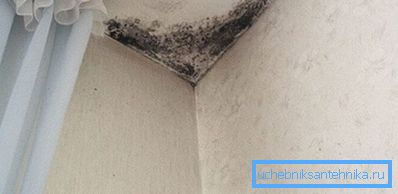 På grunn av dårlig ventilasjon begynner mold På grunn av dårlig ventilasjon begynner mold