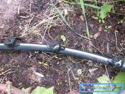 Vann druene gjennom et rør laget av polyetylen Vann druene gjennom et rør laget av polyetylen