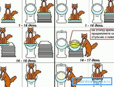 Taming Guide i Bilder Taming Guide i Bilder
