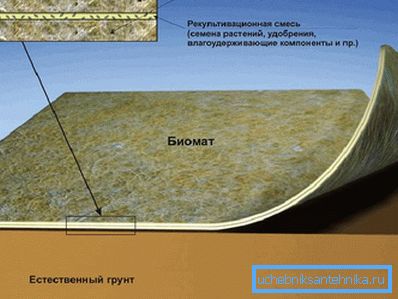 1207 Biomatisk struktur