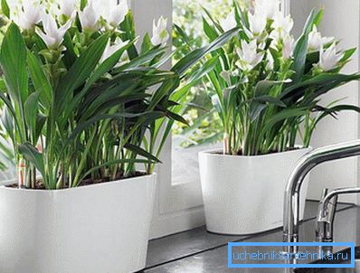 2784 Nå lukter huset som blomster