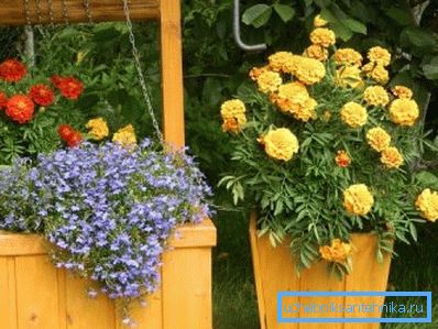 Blomsterseng i brønnen Blomsterseng i brønnen