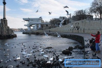 Vinteren i Sevastopol avviger ikke alvorlighetsgrad. Vinteren i Sevastopol avviger ikke alvorlighetsgrad.
